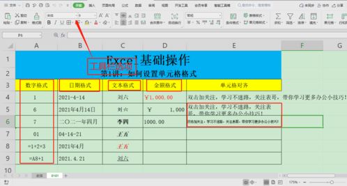 Excel基础操作 如何设置单元格格式