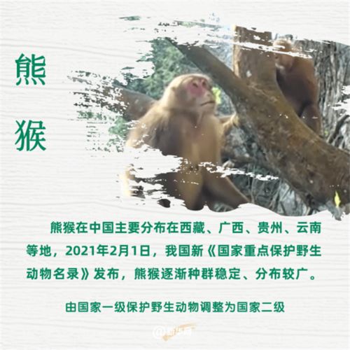 关于生物的名言,35条保护动物的名人名言？