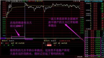 圣莱达昨日走势异常，是谁、出于什么目的在砸盘