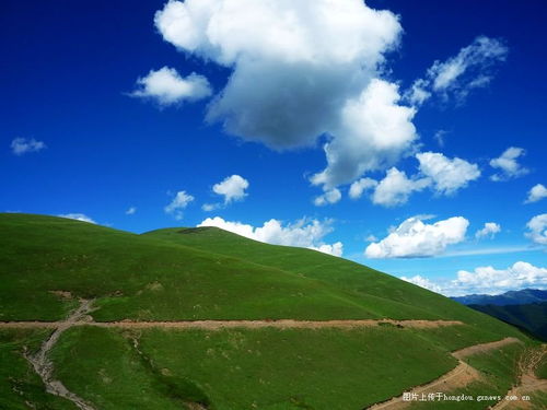 蓝天 白云 翠松 野花 高原 2013我的川藏骑行记 