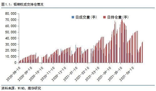 短期期权在中国运营八个月是骗人的吗？