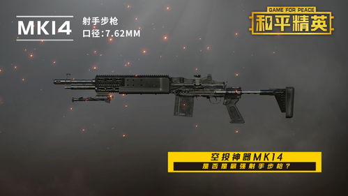 和平精英 空投神器Mk14,是否是最强射手步枪