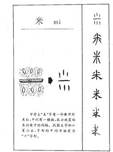 米 汉字字源 汉字 米 米在汉字字源中的解释 国学大师 