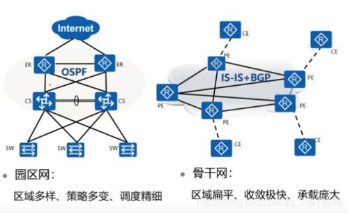 clnp网络 clnp网络 词条