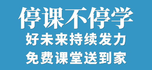 上海学而思教育信息咨询有限公司上市了吗