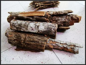 安哥拉卡宾达树皮怎么个吃法,吃多少才能有效果 