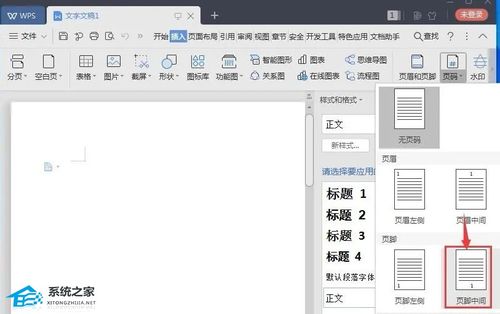 Wps怎么标页码 Wps怎么在下面加页数详细操作教学 