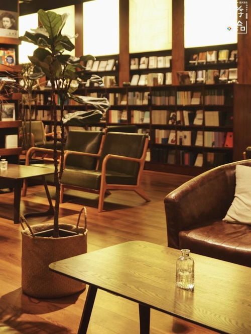 有酒有书有人,这是重庆解放碑的一家书店,也是一家酒馆