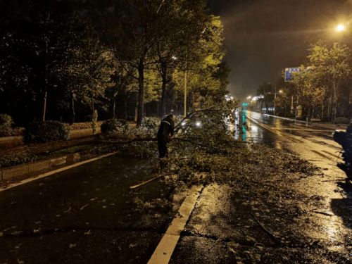 宝能集团高层秦君雪夜闯中炬高新企图解雇全体保安，结果未能如愿