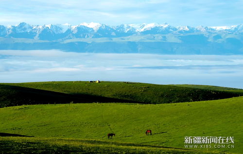 关于高山耸云端的诗句