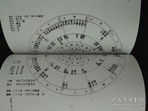 紫微斗数免费命盘详解