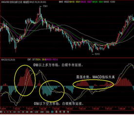 怎么可以看一只股票一个月或一年开盘或收盘价的趋势图？曲线的