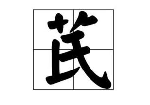 芪字怎么读,有那些同音字 