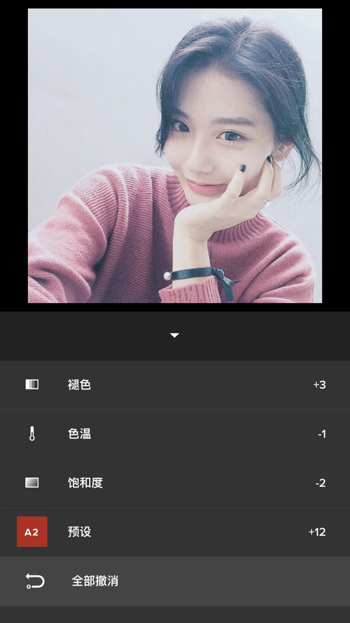 冷色调自拍调色 软件 VSCO 滤镜 A2 1 堆糖,美图壁纸兴趣社区 