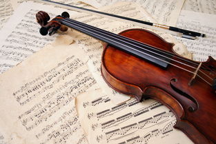 小提琴兴趣班,学校小提琴兴趣班要不要去
