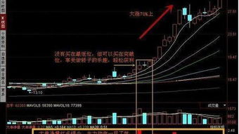 如何知道日K线上出现主力资金回补迹象的股票