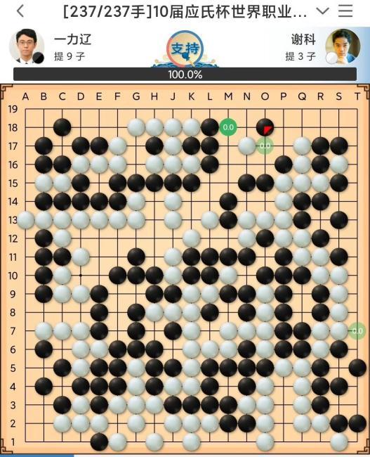 18岁围棋*,围棋职业段位有18的少年吗?