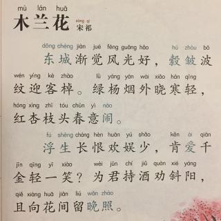 宋祁的玉楼春春景节奏划分