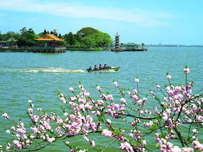 太湖 山东济南明择国际旅行社 