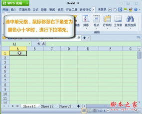 WPS表格中4种填充方式 动画演示介绍