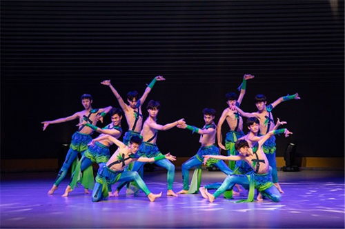 山东艺考舞蹈班,济南艺考舞蹈培训机构有哪些