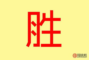 胜字五行属火还是金 有什么名字推荐