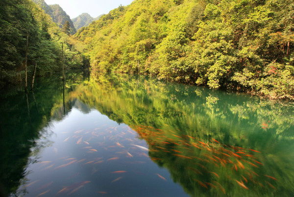 千佛山旅游攻略一日游