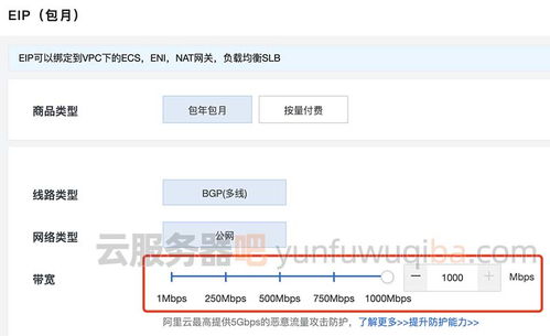 阿里云服务器公网ip打不开(阿里云ECS共享设置好以后,用公网IP不能访问共享 )