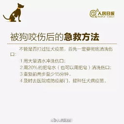 犬证怎么办理 在哪里办 需要什么材料