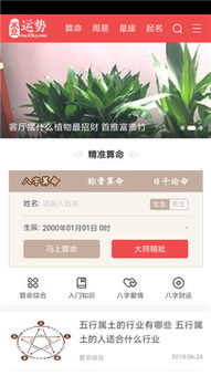 查运势免费测试app 查运势下载 3.2.0 安卓版 我游网 