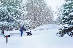 北风吹雪，诗意冬日韵律，北风吹雪什么意思