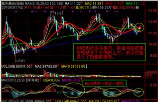 怎样选出股价20以上的股票