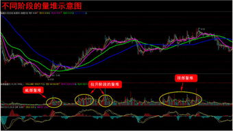 怎么样知道股票的执掌位