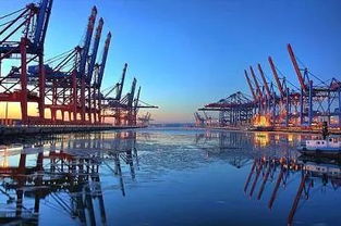 中国港口股有哪些？