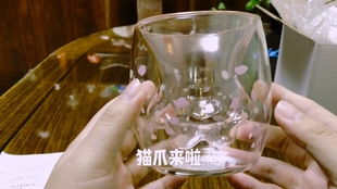 星爸爸 猫爪杯