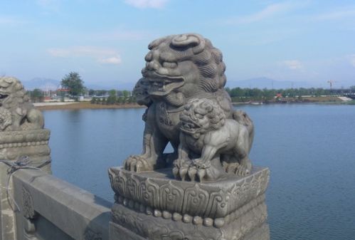 明明中国本土没有狮子,为何自古宫殿寺庙守大门的却都是石狮子呢 