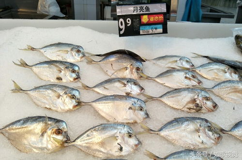 水产品区内,有一种鱼的名字特好听特浪漫,我第一次见到,你呢 
