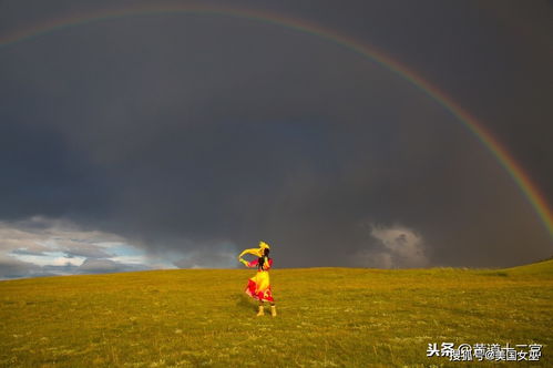 人品好口碑好,总是太过优秀,容易遭人嫉妒的星座