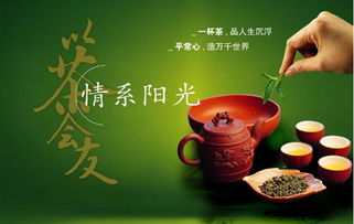 茶叶品牌店排行榜前十名(茶叶品牌店铺排行榜十强)