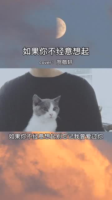 如果你不经意想起 