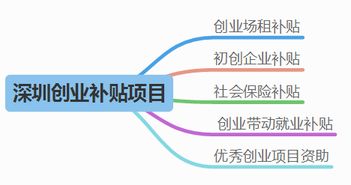 浙江大学生创业补贴怎么申请