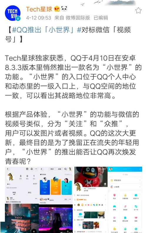 qq号码激活(手机申请QQ怎么激活)