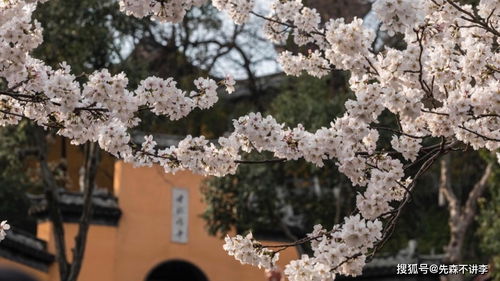 南朝四百八十寺之首寺,祈福许愿求姻缘都很灵验,就在南京市区内