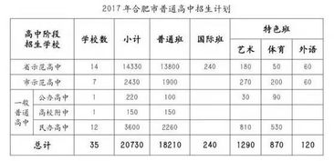 796 分 合肥中考第一名考出史上最高分 还是一位古筝 10 级的女学霸