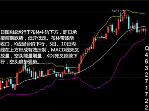 判断白银价格走势有哪些方法