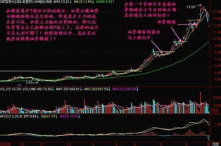 在牛市中好的长线股票会跌破120日线吗