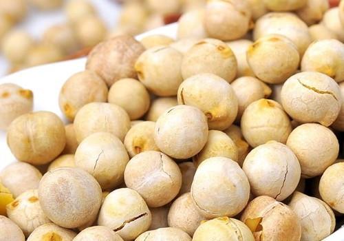 鹰嘴豆跟黄豆的区别 鹰嘴豆和黄豆营养对比