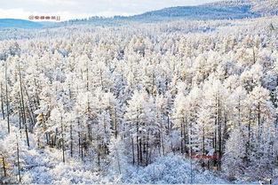 莫尔道嘎 带我走进秋雪童话世界 