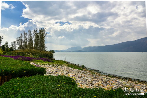 星海半岛湿地公园秋天的景色 