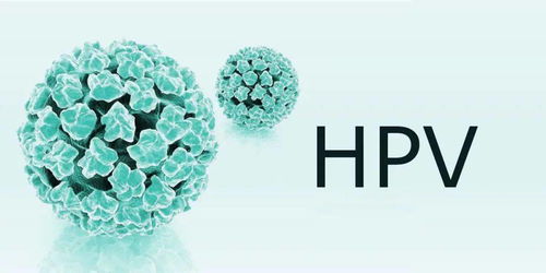 hpv-16病毒是怎么感染的(hpv16病毒是什么引起的)